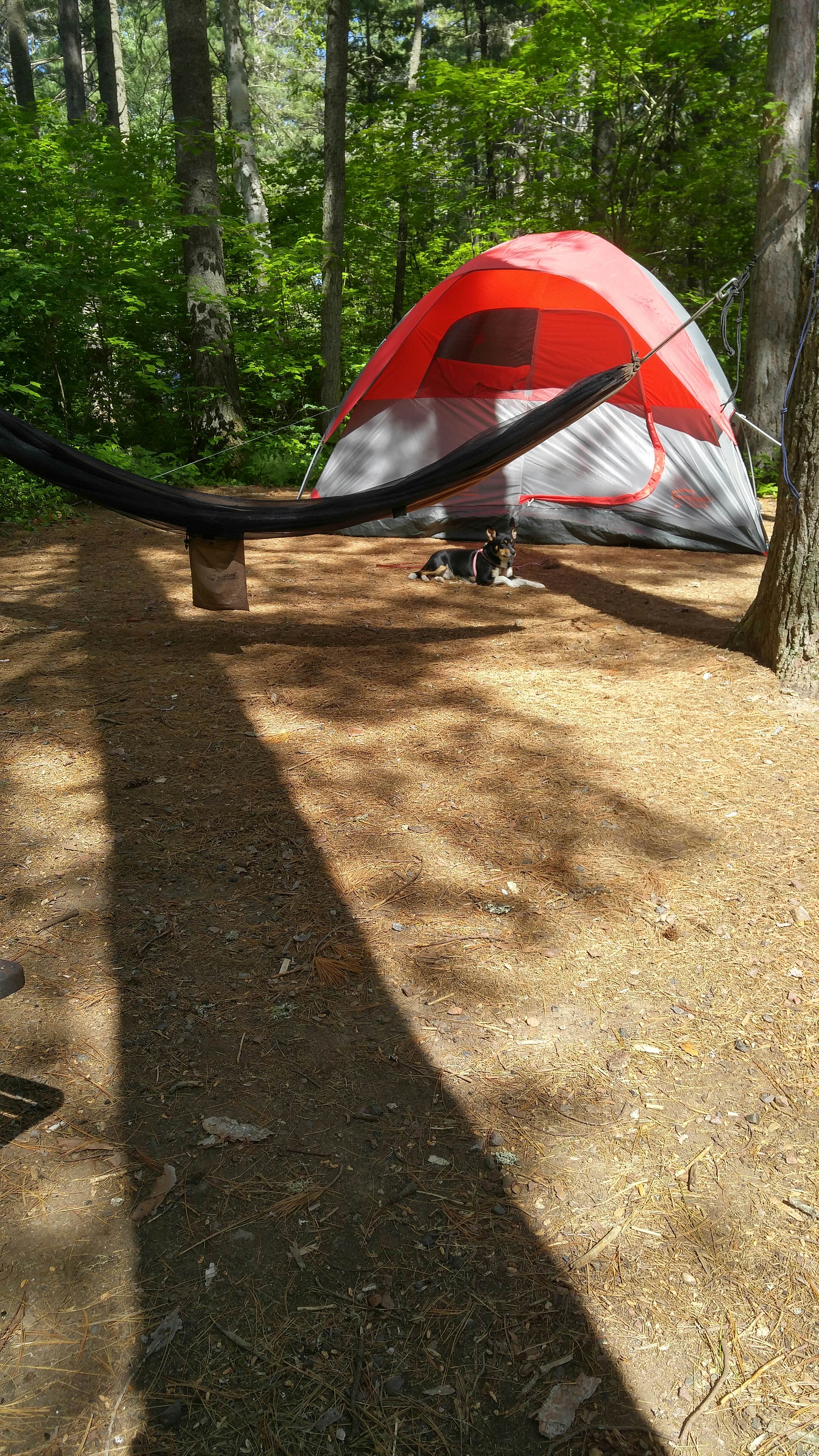 Camper submitted image from Sawbill Lake Campground - Superior National Forest - 2