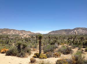 Indian Cove Campground — Joshua Tree National Park