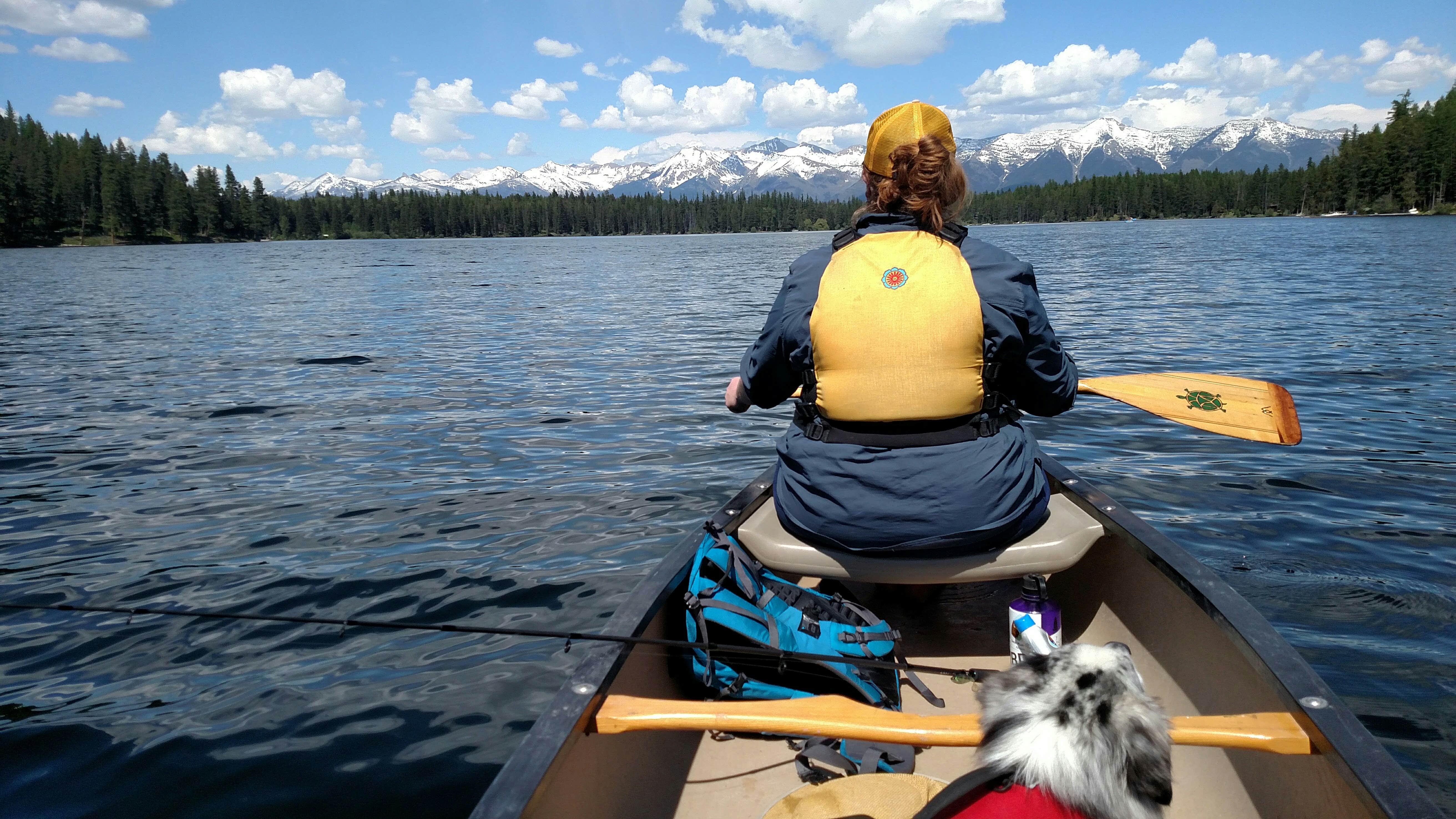 Camper submitted image from Lindbergh Lake Campground - 5