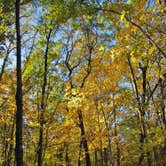 Review photo of Wild River State Park Campground by Ramona A., July 6, 2017