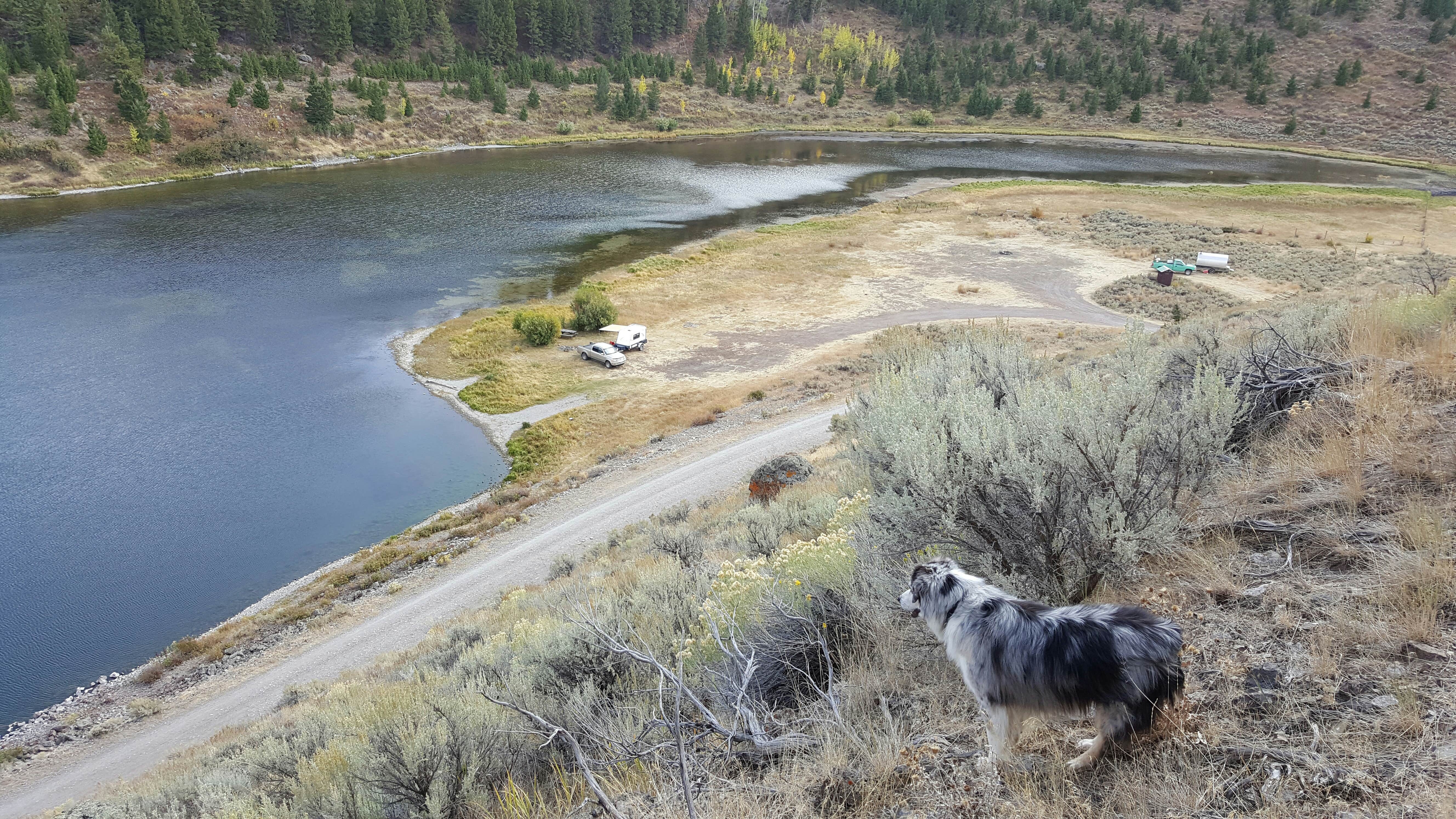 Camper submitted image from Elk Lake Dispersed Camping & Picnic Area - 2