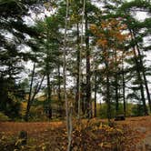 Review photo of Trail's End Campground by Ramona A., July 4, 2017