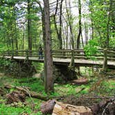 Review photo of Bear Paw Campground — Itasca State Park by Ramona A., July 6, 2017