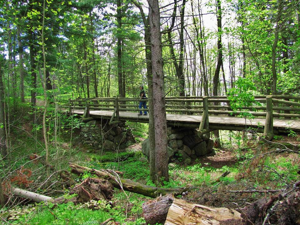 Camper submitted image from Bear Paw Campground — Itasca State Park - 3