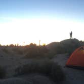 Review photo of Jumbo Rocks Campground — Joshua Tree National Park by Kuo G., July 6, 2017