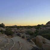 Review photo of Jumbo Rocks Campground — Joshua Tree National Park by Kuo G., July 6, 2017