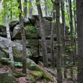 Review photo of Banning State Park Campground by Ramona A., July 6, 2017