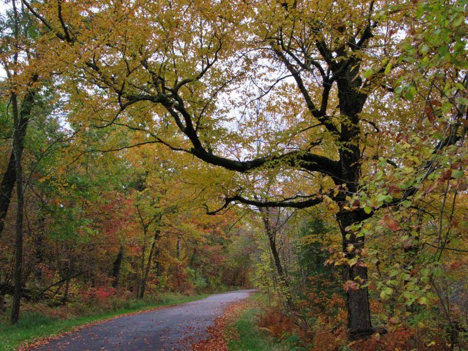 Camper-submitted photo at Boulder near Saint Croix National Scenic River
