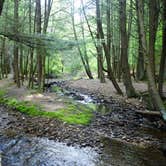 Review photo of Loleta Recreation by Dan G., June 14, 2016