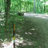 Review photo of Wild River State Park Campground by Jennifer H., July 6, 2017