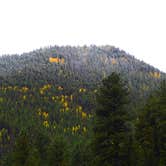 Review photo of Massey Meadow Camping Area by Tyler S., June 24, 2016