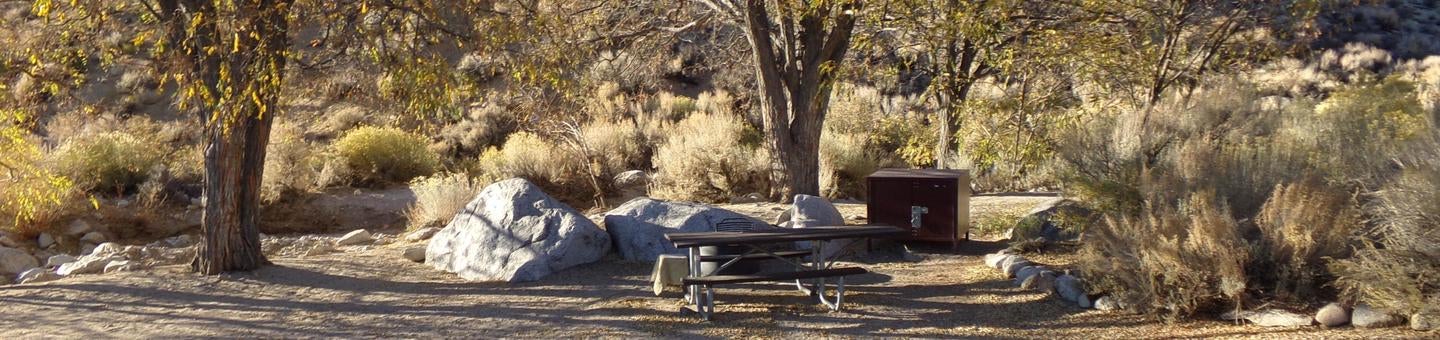 Camper submitted image from Lone Pine - 4