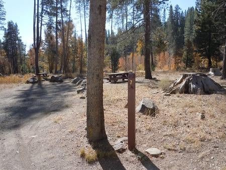 Camper submitted image from Lower Little Truckee - 5