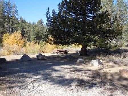 Camper submitted image from Lower Little Truckee - 3