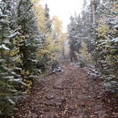 Review photo of Massey Meadow Camping Area by Tyler S., June 24, 2016