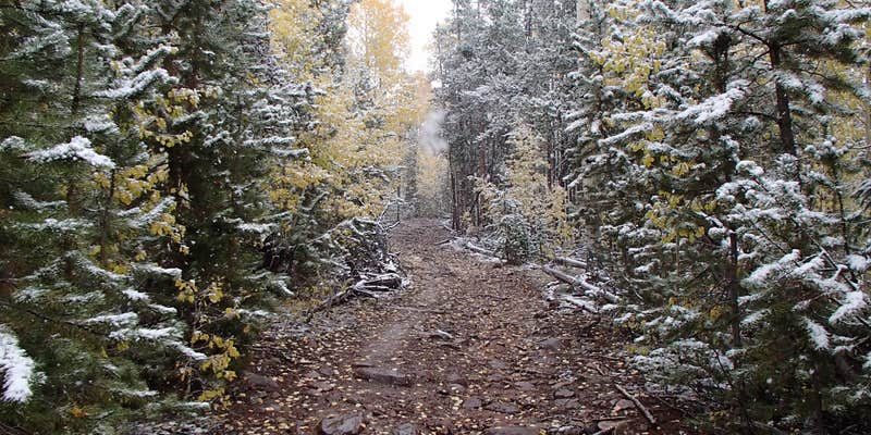 Camper submitted image from Massey Meadow Camping Area