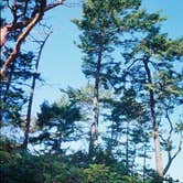 Review photo of Cypress Island Natural Resources Conservation Area by Sarah C., July 6, 2017