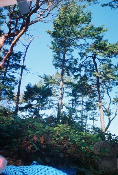 Camper submitted image from Cypress Island Natural Resources Conservation Area - 2