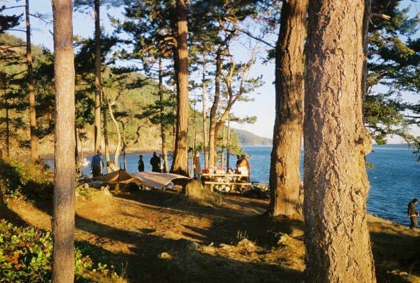 Camper submitted image from Cypress Island Natural Resources Conservation Area - 1
