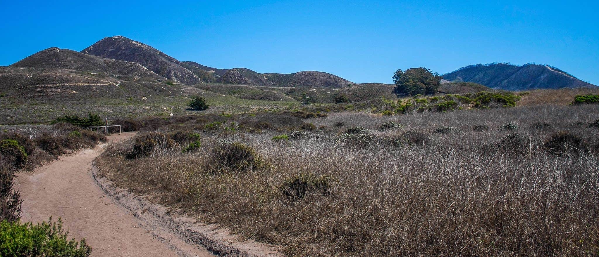 Camper-submitted photo at Islay Creek Campground — Montaña de Oro State Park near Pismo Beach, CA