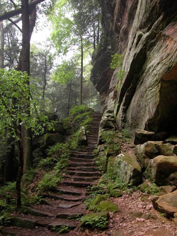 Camper submitted image from Hocking Hills State Park Campground - 2
