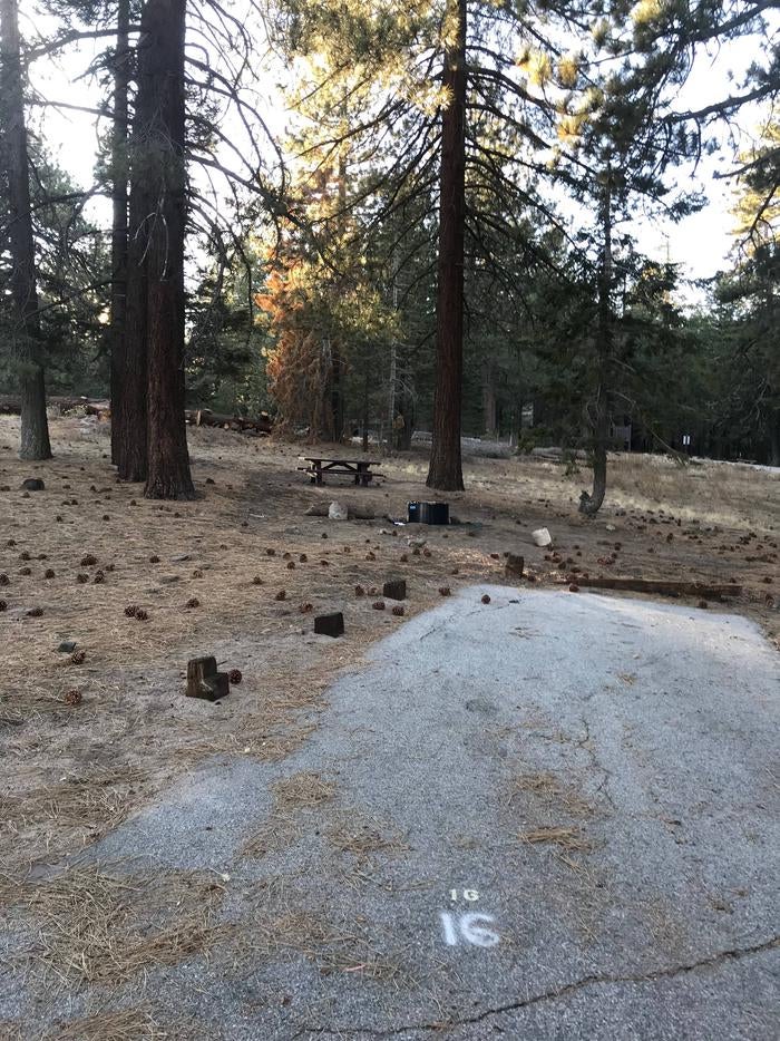 Camper submitted image from Mt. Pinos Campground - 3