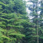 Review photo of Two Island Lake Campground by Anne G., July 6, 2017