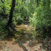 Review photo of Lake Elmo County Park Reserve by Stephanie H., July 6, 2017