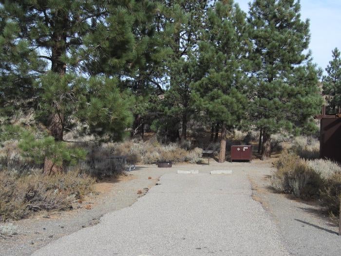 Camper submitted image from Inyo National Forest Oh Ridge Campground - 5