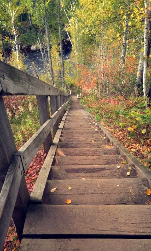 Camper submitted image from Baptism River Campground — Tettegouche State Park - 5