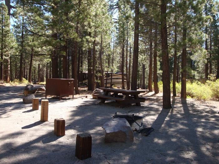 Camper submitted image from Old Shady Rest Campground - 4