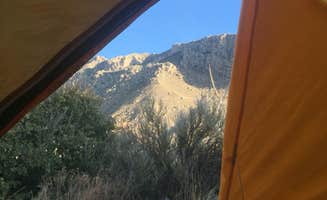 SwitchbackKids's photo at Pine Springs Campground near Guadalupe Mountains National Park