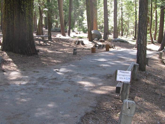 Camper submitted image from Pinecrest Campground - 4