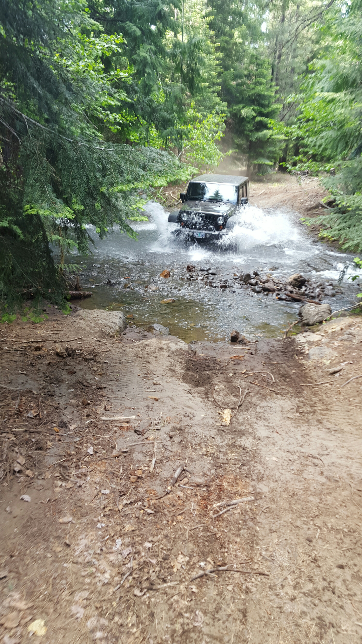 Camper submitted image from Bird Creek - 1