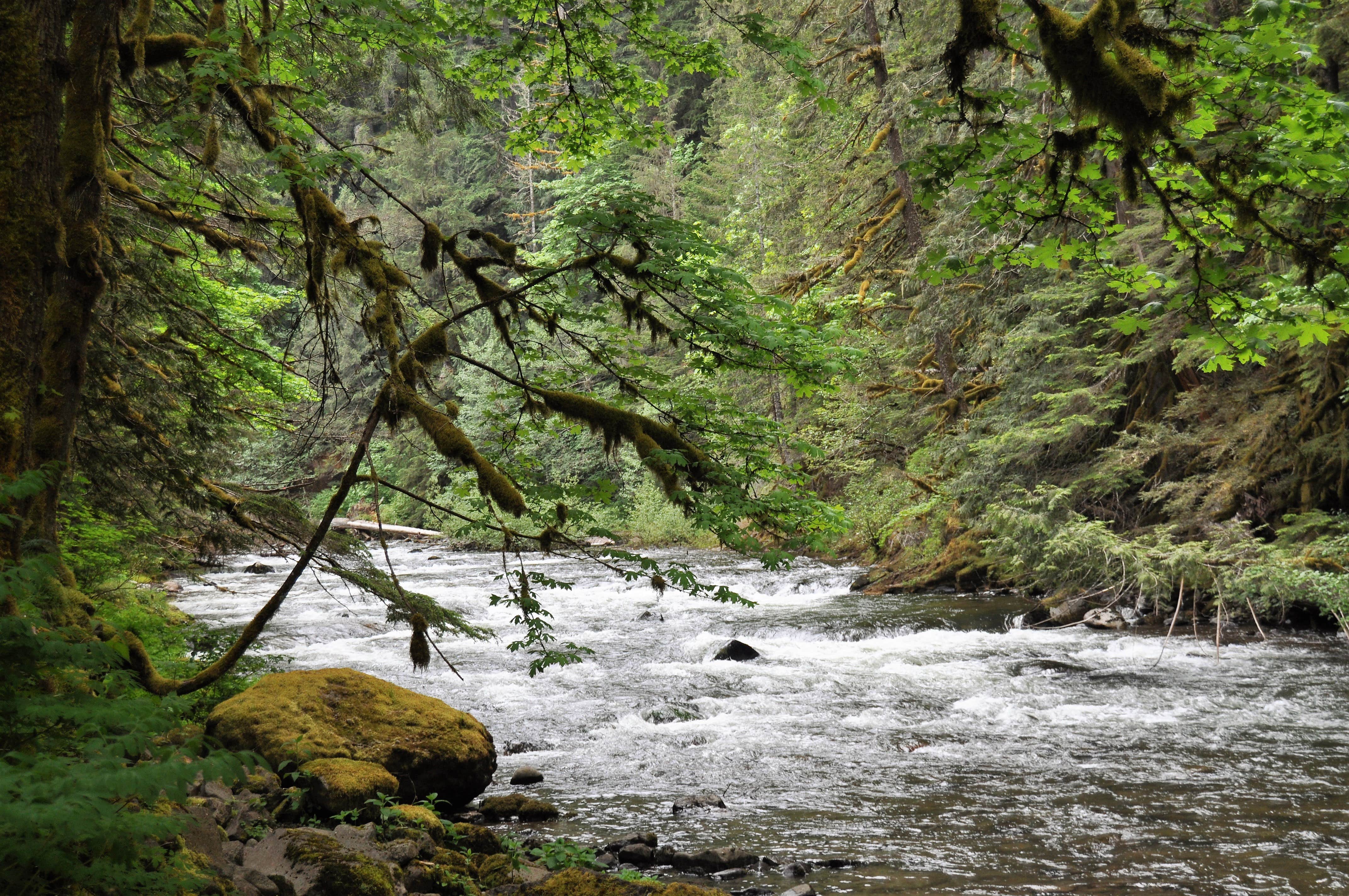 Camper submitted image from Green Canyon - 3