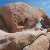 Review photo of Jumbo Rocks Campground — Joshua Tree National Park by SwitchbackKids , July 6, 2017
