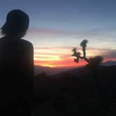 Review photo of Jumbo Rocks Campground — Joshua Tree National Park by SwitchbackKids , July 6, 2017