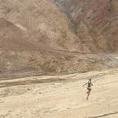Review photo of Sunset Campground — Death Valley National Park by SwitchbackKids , July 6, 2017
