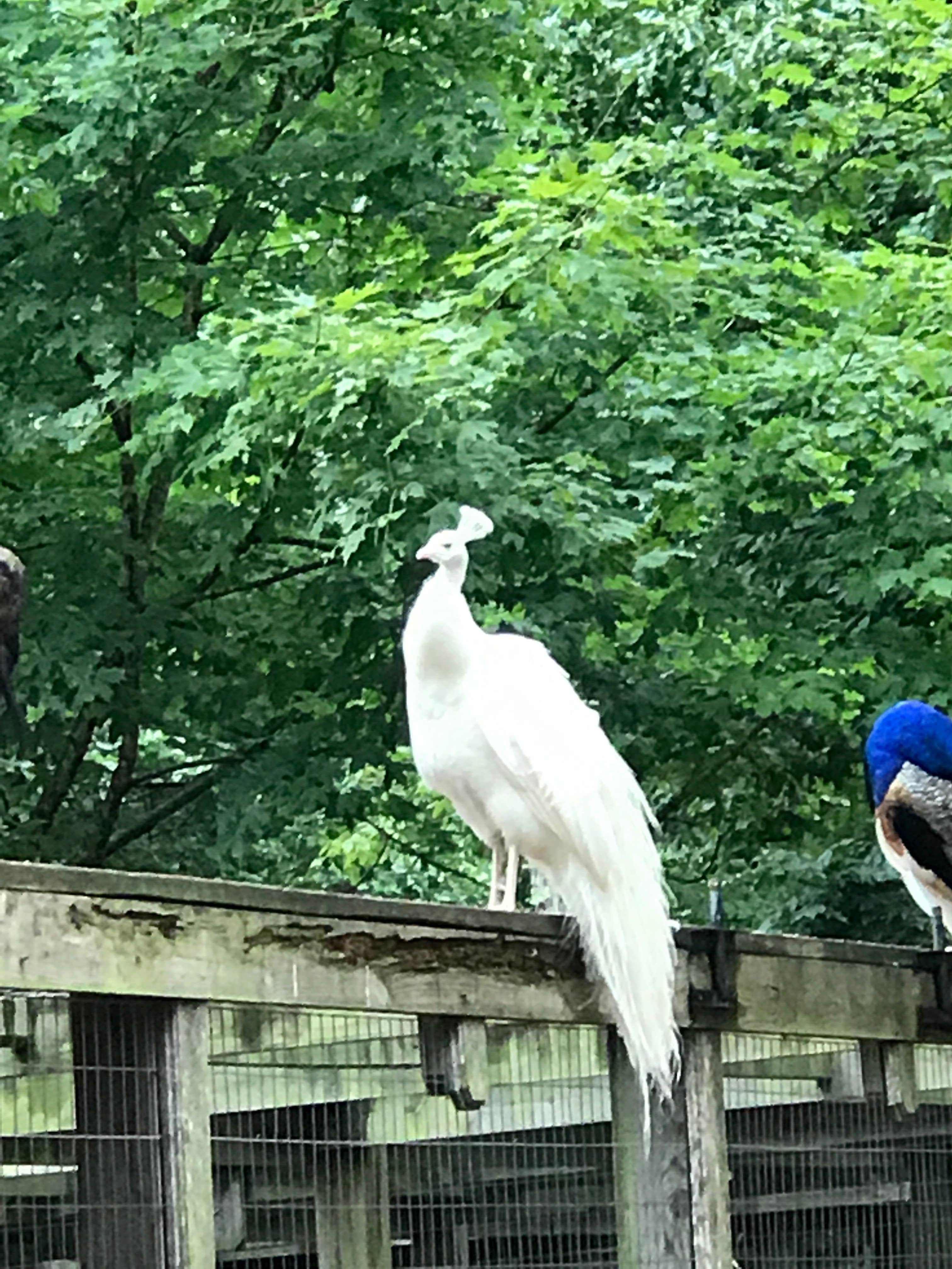 Camper-submitted photo at Gaston's White River Resort Cabins near Lakeview, AR