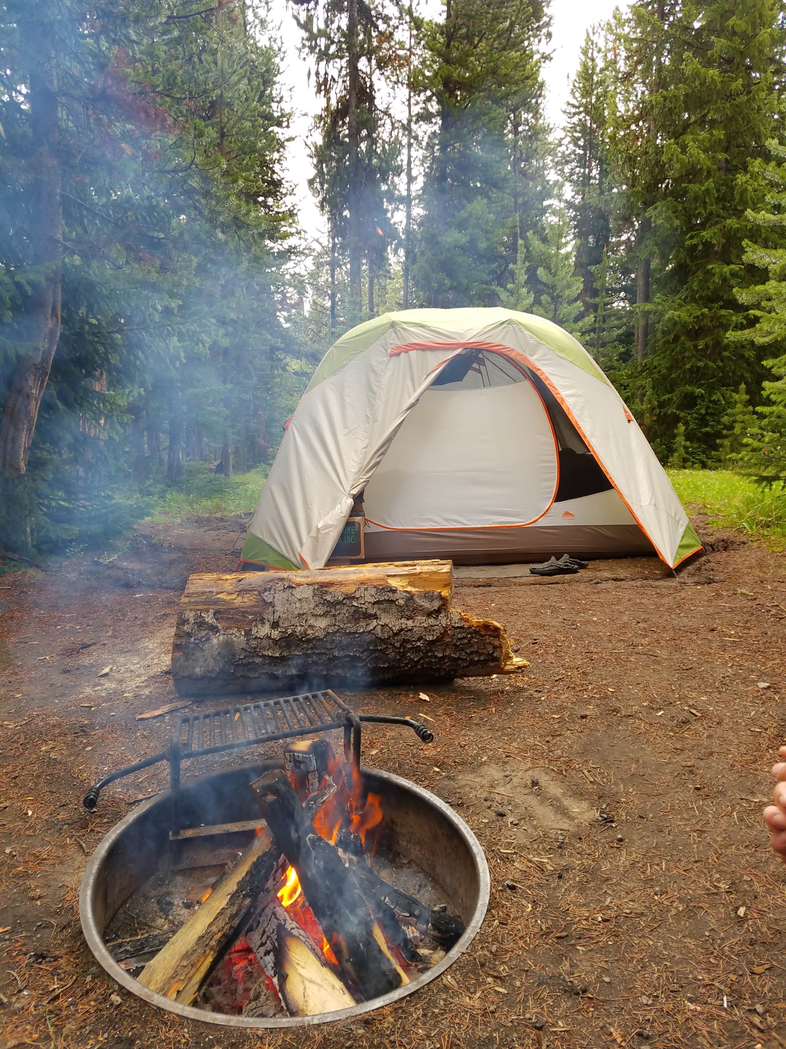 Camper submitted image from Fern Lake — Yellowstone National Park - 1