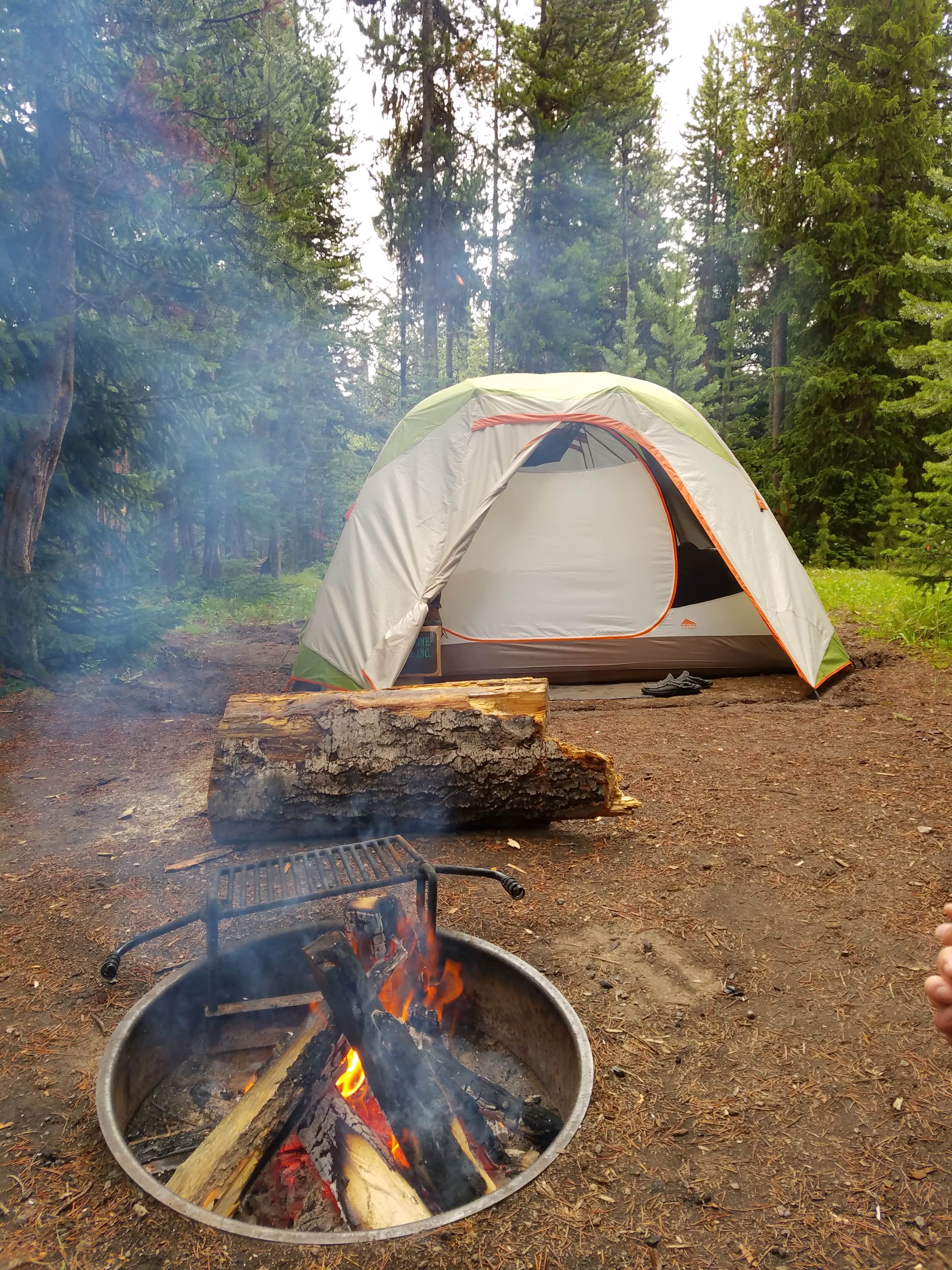Camper submitted image from Fishing Bridge RV Park--Yellowstone National Park - 1