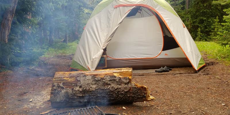 Camper submitted image from Fishing Bridge RV Park--Yellowstone National Park