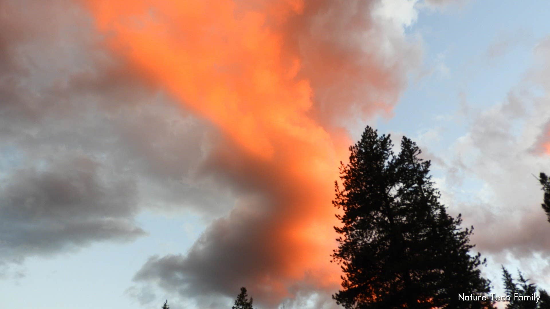 Camper submitted image from Pebble Creek Campground — Yellowstone National Park - CLOSED IN 2024 - 2