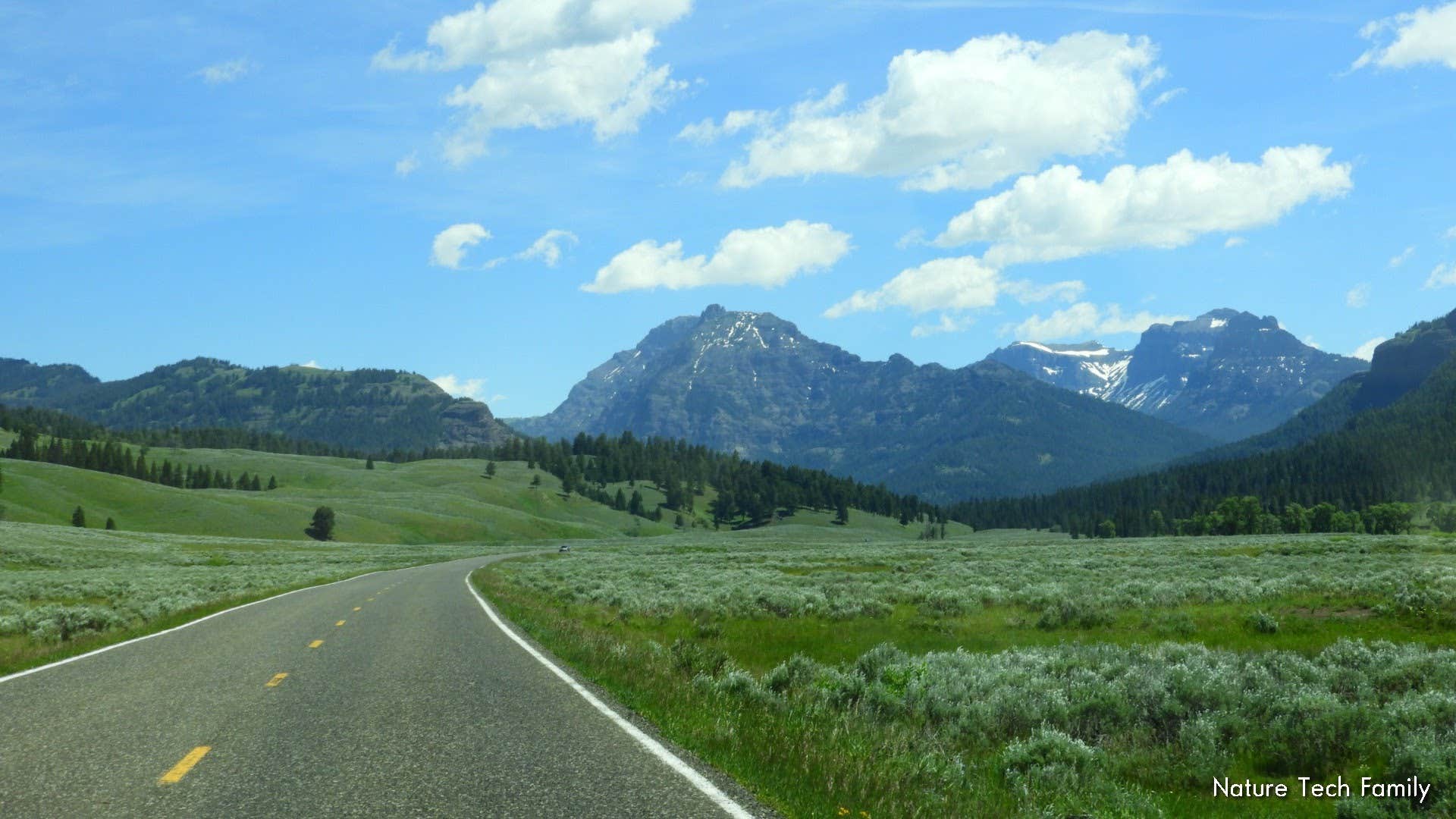 Camper submitted image from Pebble Creek Campground — Yellowstone National Park - CLOSED IN 2024 - 4