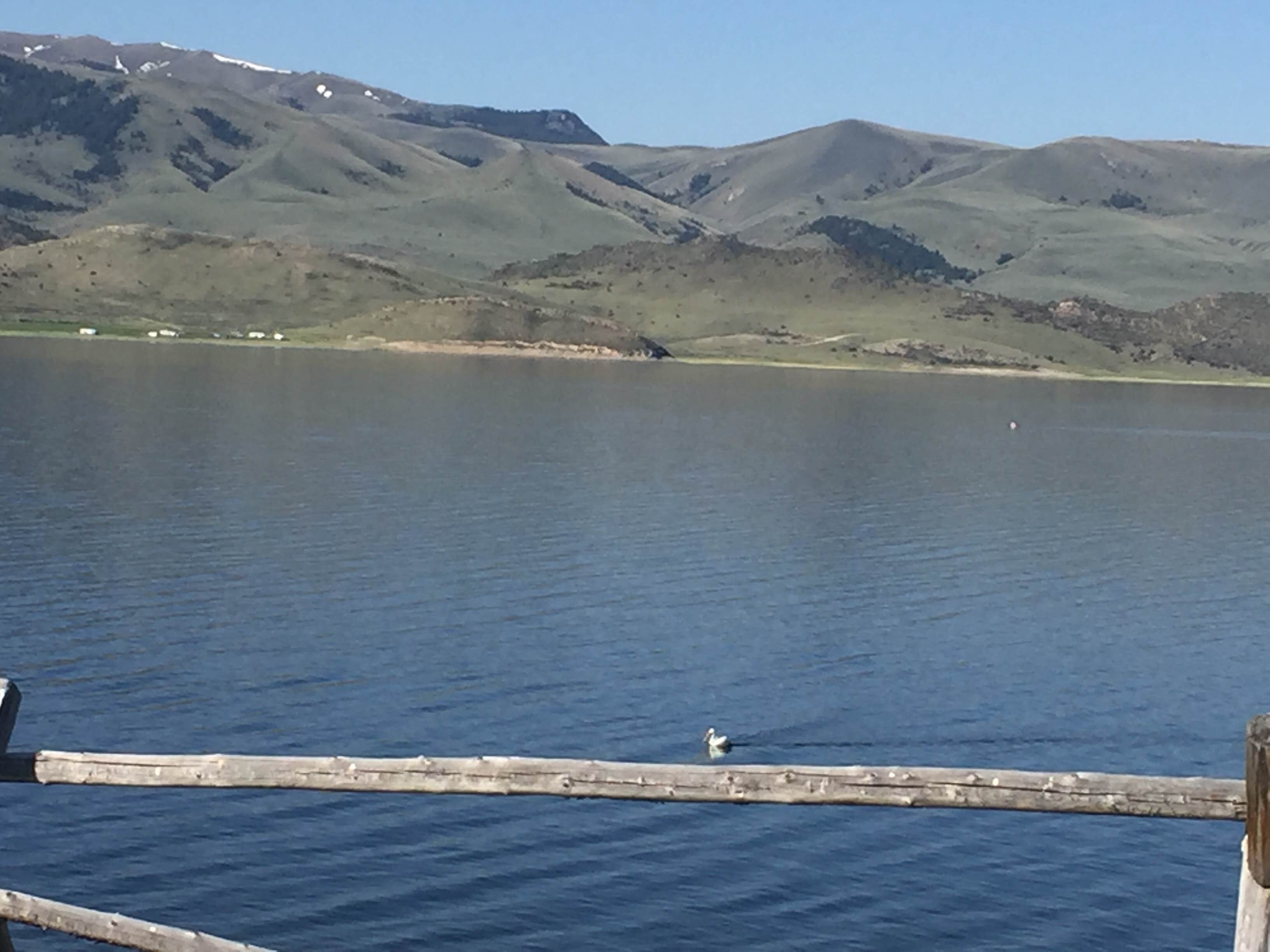 Camper submitted image from Lewis & Clark Campground - 5
