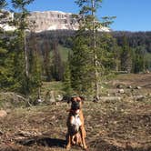 Review photo of Brooks Lake Campground by Katherine B., July 6, 2017