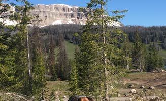 Katherine B.'s photo of camping with pets at Brooks Lake Campground near Dubois, WY