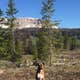 Brooks Lake Campground