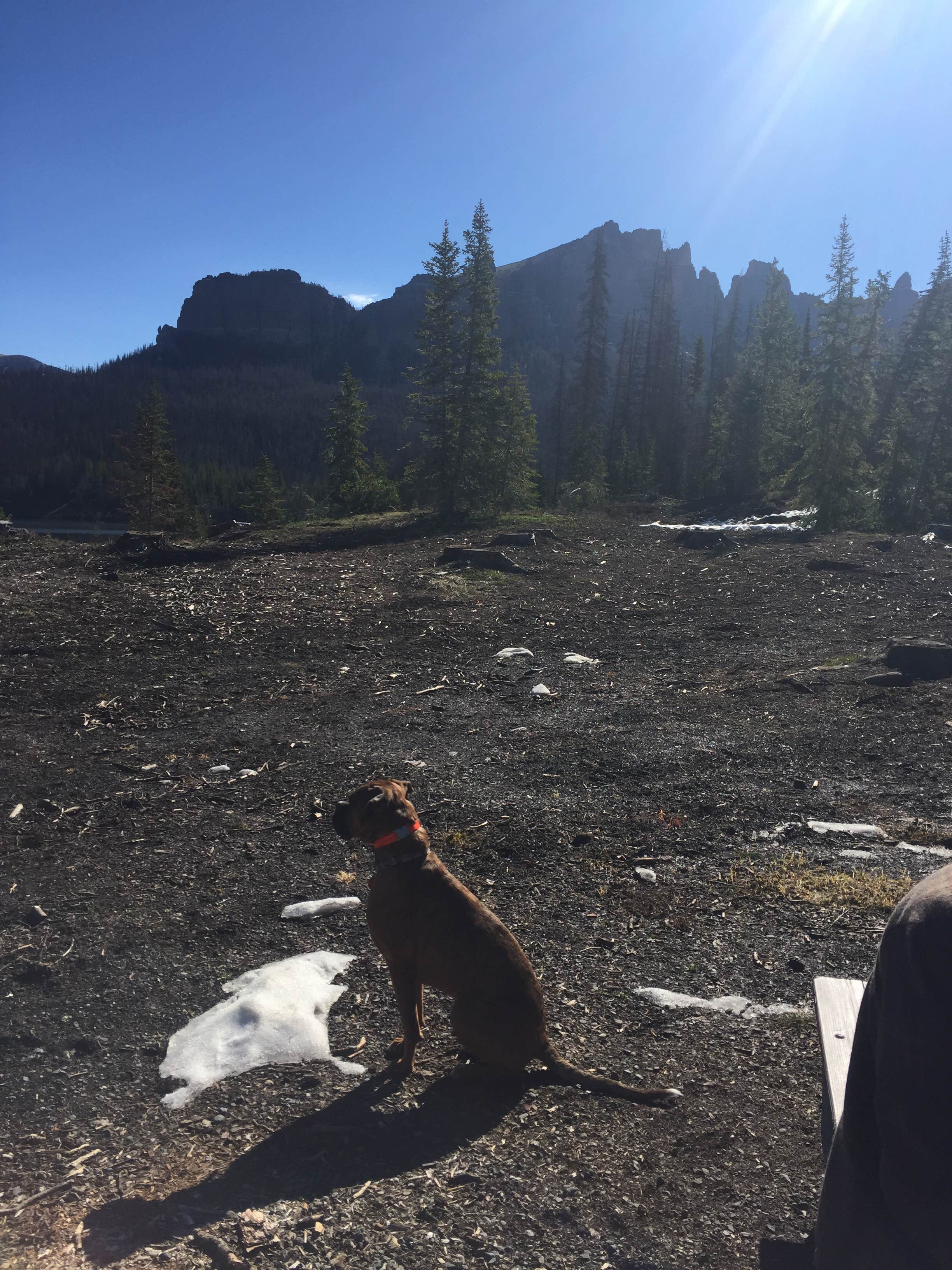 Camper submitted image from Brooks Lake Campground - 3