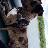 Review photo of Codorus State Park Campground by Sarah L., July 6, 2017